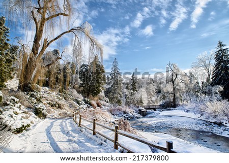 A frozen park landscape on a sunny day after an ice storm with a stream running under a bridge in the background and fallen frozen branches blocking a pathway under a large frozen willow tree.