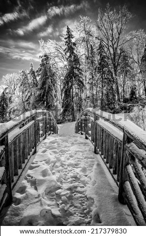 A view looking across a frozen wooden bridge with snow packed foot prints with the sun shining through frozen trees on the other end.  Processed in black and white.