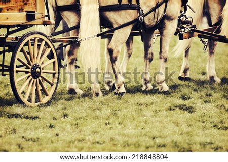 A close up of horses hooves and legs.  The horses are in a harness attached to a wagon on a grass field during a fair horse show.  Filtered for a retro, vintage look.