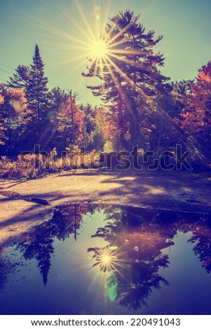 Sun light beams shine behind trees creating lens flare in a park landscape.  A large puddle in a parking lot reflects a mirror image of the sun and landscape.  Filtered for a retro, vintage look.