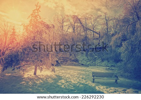 The sun shines brightly behind ice covered trees damaged from an ice storm and an icy bench in a park during the winter season.  Filtered for a retro, vintage look.
