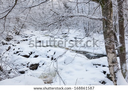 Winter forest and a river with snow and ice