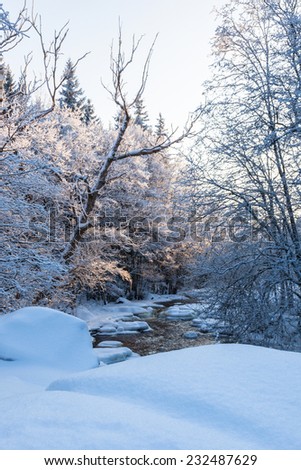 River running through the winter landscape