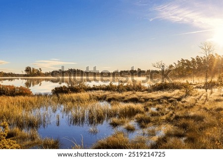 Similar – Image, Stock Photo north beach marsh