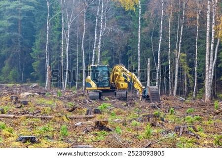 Similar – Image, Stock Photo Forest edge in heavy snowfall on holy evening 2021