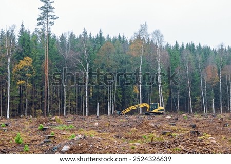 Similar – Image, Stock Photo Forest edge in heavy snowfall on holy evening 2021