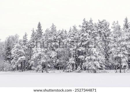 Similar – Image, Stock Photo hoarfrost at the lake