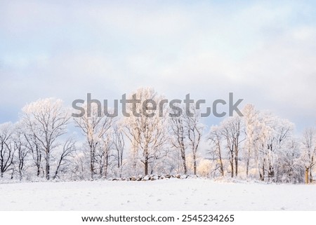 Similar – Foto Bild Winter verschneite leere Landstraße