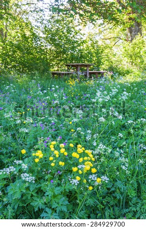 Meadow with tables and bench for Picnik