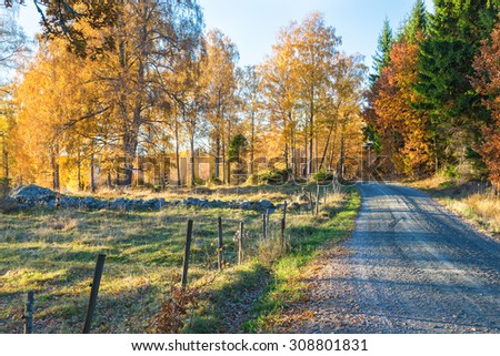 Dirt road along a meadow of the woods with autumn colors
