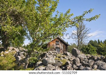 Old farm with stone walls and apple tree in the garden
