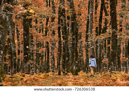 Similar – Image, Stock Photo Oak leaf melancholic and dreary in November