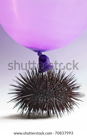 Urchin get in touch with a balloon