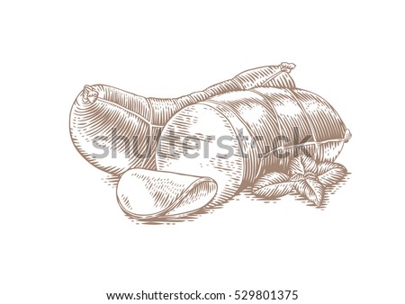 Drawing of whole and cutted cooked sausage with leaves of basil