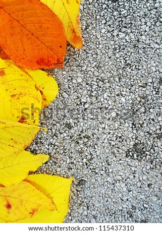Autumn yellow leaf frame pattern on a concrete surface, nature frame concept