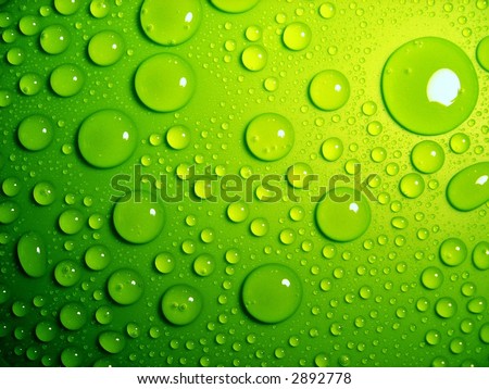 Water-Drops On Green Stock Photo 2892778 : Shutterstock