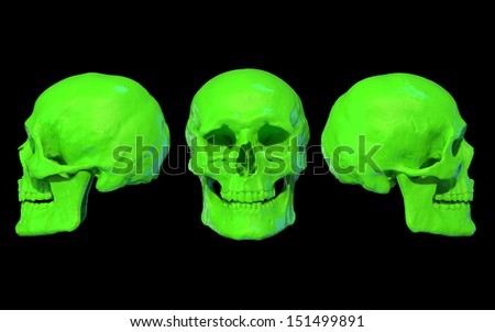 neon green skull / 3 views on black