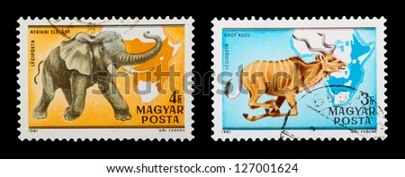 HUNGARY - CIRCA 1981: A set of postage stamps printed in HUNGARY shows wild animals, series, circa 1981