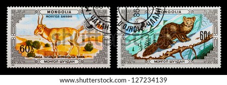 MONGOLIA - CIRCA 1986: A set of postage stamps printed in MONGOLIA shows wild animals, series, circa 1986