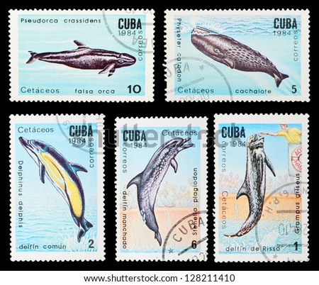 CUBA - CIRCA 1984: A set of postage stamps printed in CUBA shows marine animals, series, circa 1984