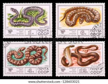 USSR - CIRCA 1977: A set of postage stamps printed in USSR shows snake, series, circa 1977