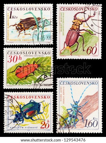 CZECHOSLOVAKIA - CIRCA 1962: A set of postage stamps printed in CZECHOSLOVAKIA shows beetles, series, circa 1962
