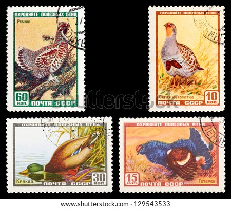 USSR - CIRCA 1961: A set of postage stamps printed in USSR shows birds, series, circa 1961