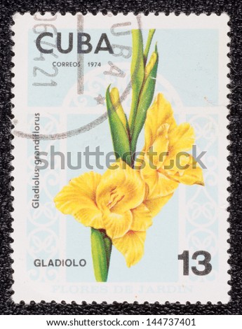 CUBA - CIRCA 1974: A stamp printed in the CUBA, shows a flora life, the flower, circa 1974