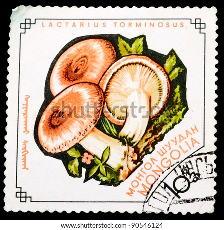 MONGOLIA - CIRCA 1964: A Stamp printed in MONGOLIA shows image of the Lactarius torminosus, from the series \