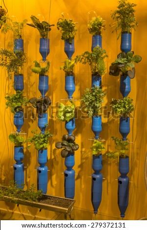 MILAN, ITALY - May 7:indoor cultivation in German pavilion,  detail of vertical gardening inside German Pavilion , shot  on may 7 2015  Milan, Italy
