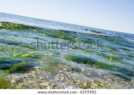 Green waves on black sea beach. Turkey