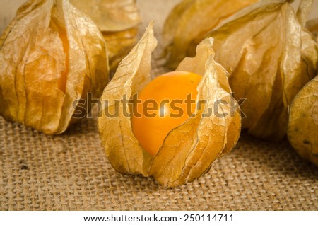 Image of cape gooseberry on brown sack background