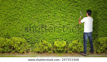 Man gardener cut with clippers