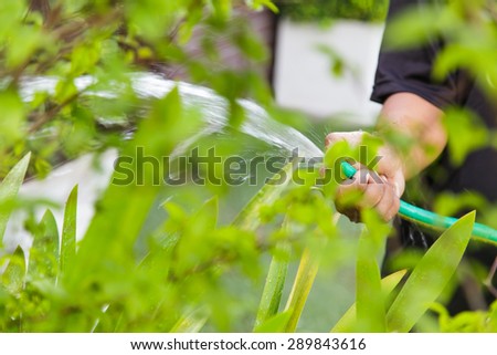 Watering plants