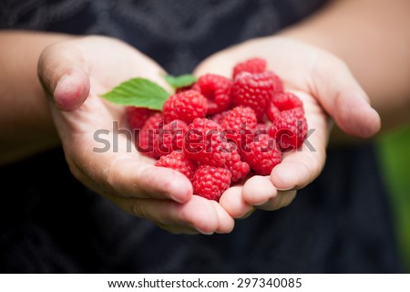 Picking up raspberries