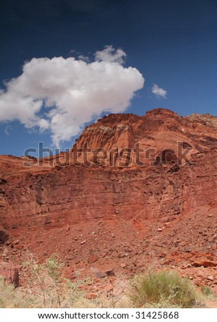 colorful desert scene