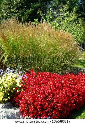 Landscape background with bright red flower beds blossoming against green tall grass