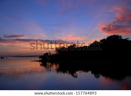 Mirrored forest line on the Rio Negro in the Amazon River basin, Brazil, South America