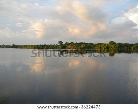 Mirrored rainforest line on the Rio Negro in the Amazon River basin, Brazil, South America