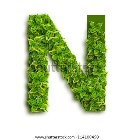 Letter N, Alphabet Of Green Leaves Isolated On White Background. Stock ...
