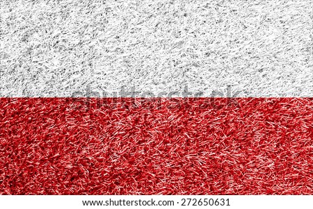 Poland flag on grass background texture