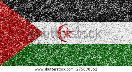 Western Sahara flag on grass background texture