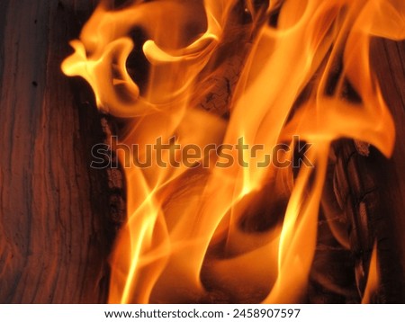 Similar – Image, Stock Photo Flames leap up, the heat distorts the view on the tree in the background