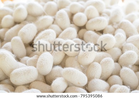 Similar – Image, Stock Photo spinning moths on a bush