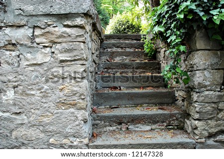 Old stairs with stones, plants and bush for access to medieval castle