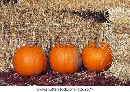Fall pumpkins lined up in front of several bales of hay