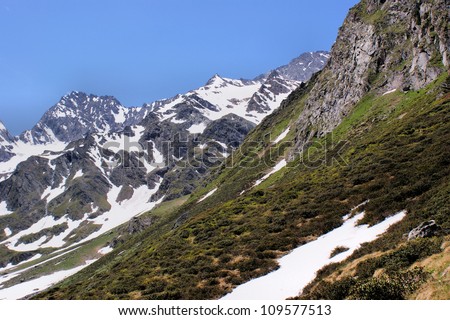 Spring in the Alps; snow-capped mountains of the Oetztal Alps in South Tyrol; steep rocks, snow residues and large areas not yet blooming Alpine roses/ Spring in the Alps