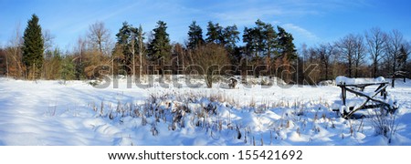Panorama of a idyllic winter landscape;  bald deciduous trees, conifers and trails in snow; blue sky/Panorama in winter