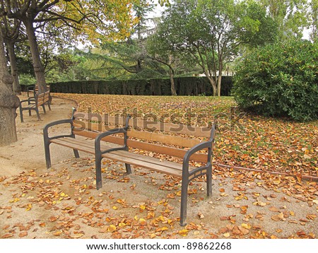 seat with the floor covered with autumn leaves