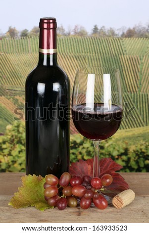 Red wine in a bottle and in a wine glass in the vineyards